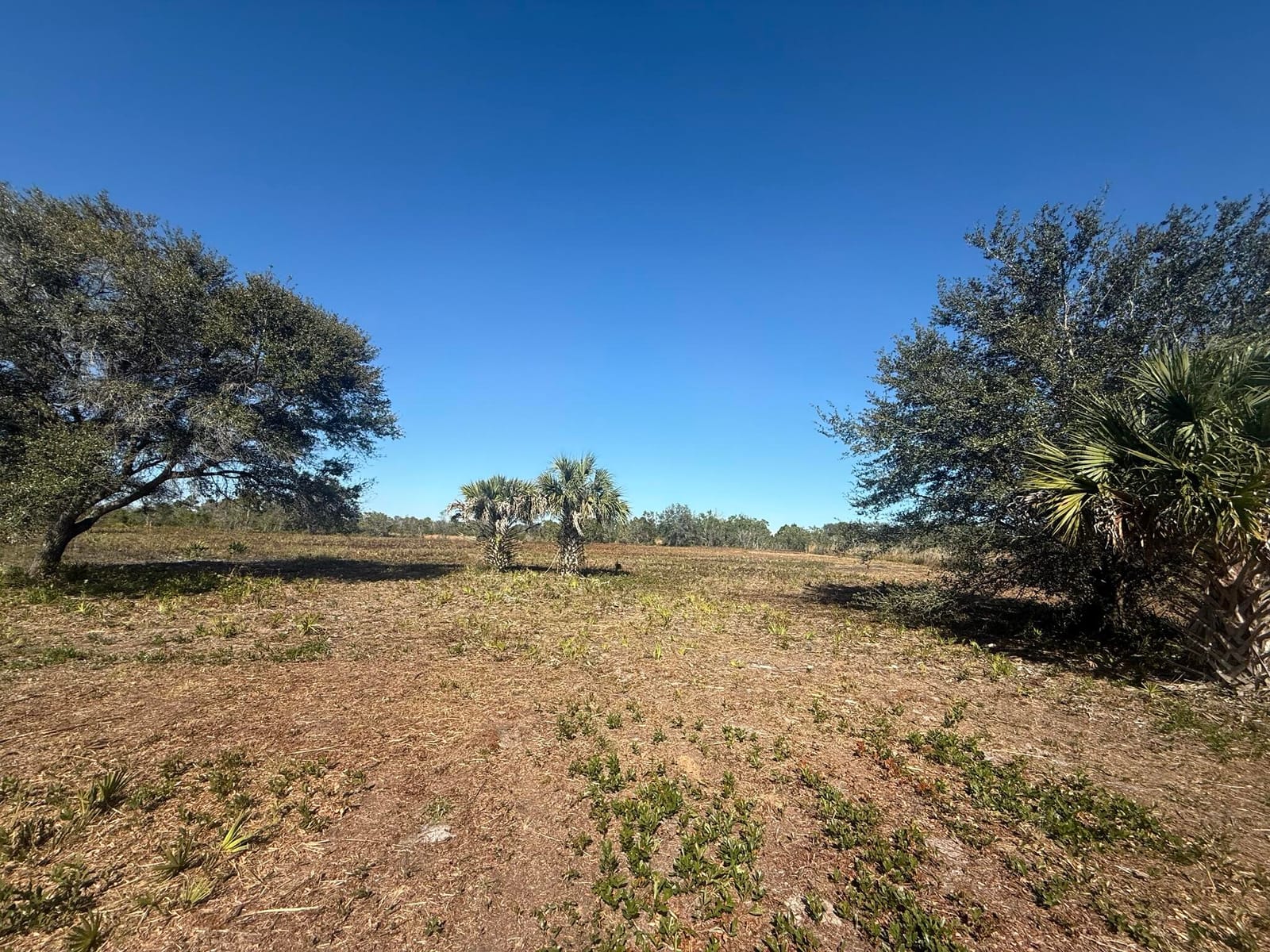 17065 NW 306th Street, Okeechobee, FL 34972 photo 7