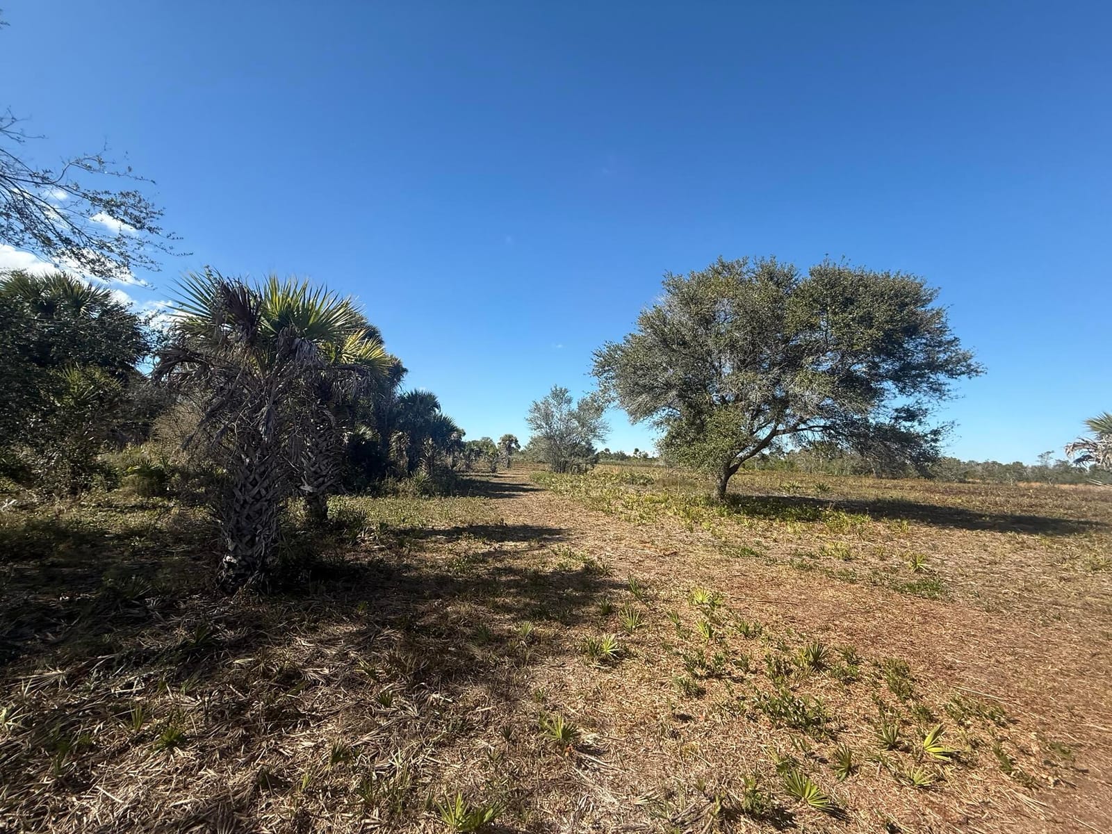 17065 NW 306th Street, Okeechobee, FL 34972 photo 9