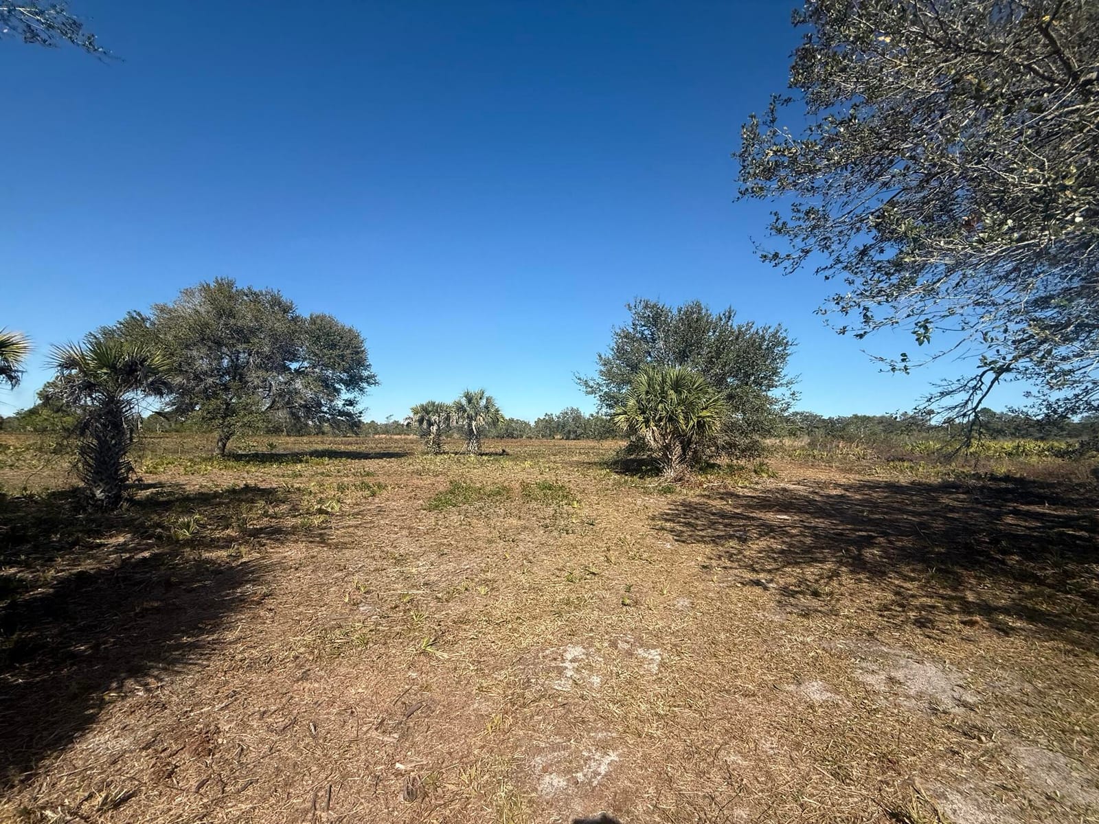 17065 NW 306th Street, Okeechobee, FL 34972 photo 10