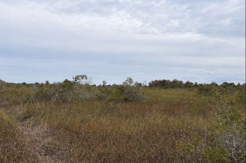 0 NW 310th Street, Okeechobee, FL 34972