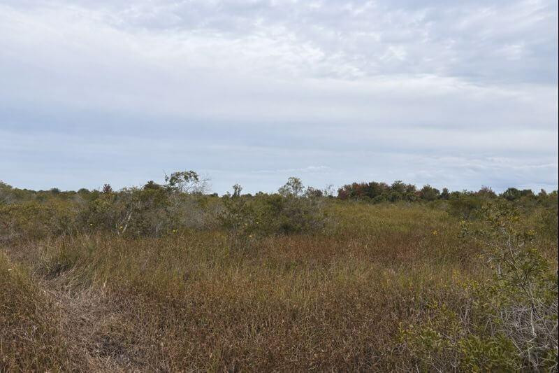 0 NW 310th Street, Okeechobee, FL 34972, Okeechobee