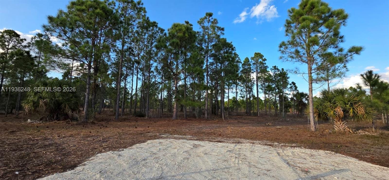 17923 NW 298 Street, Okeechobee, FL 34972 photo 2