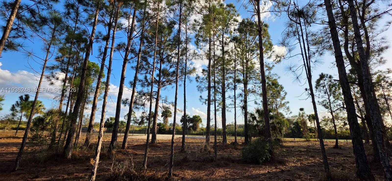 17923 NW 298 Street, Okeechobee, FL 34972 photo 3