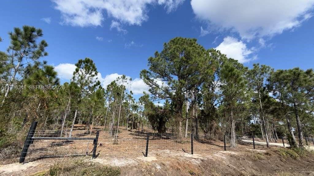 17975 NW 298 Street, Okeechobee, FL 34972 photo 2