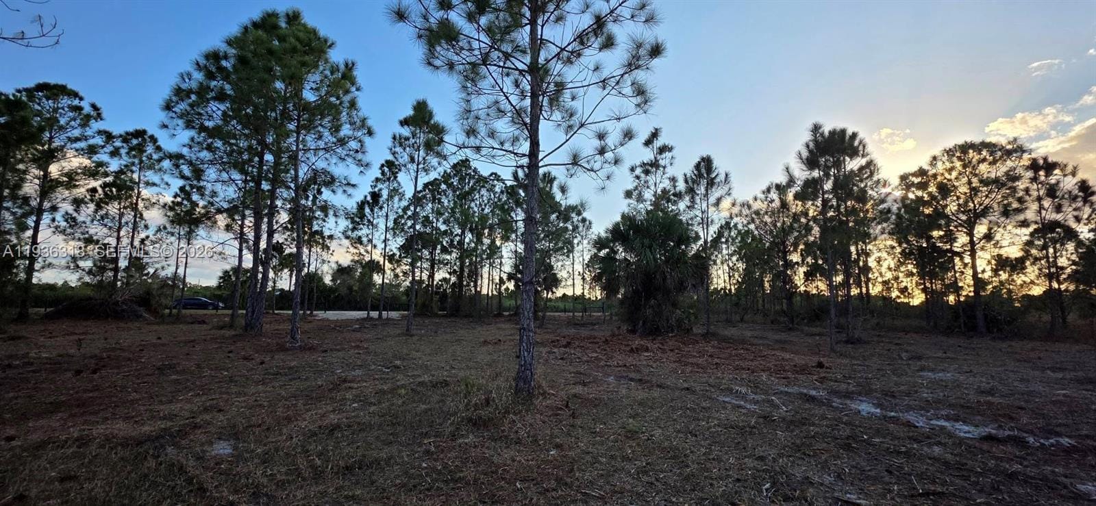 17975 NW 298 Street, Okeechobee, FL 34972 photo 11