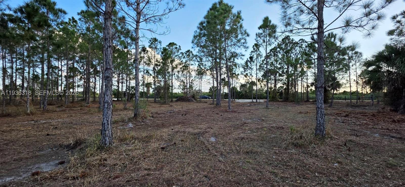 17975 NW 298 Street, Okeechobee, FL 34972 photo 12
