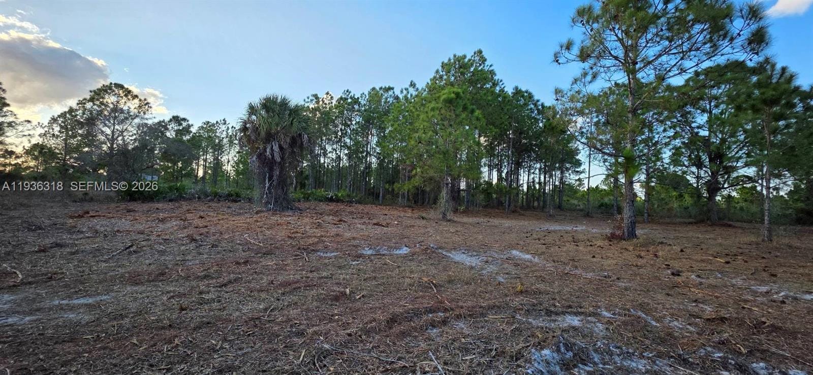 17975 NW 298 Street, Okeechobee, FL 34972 photo 18