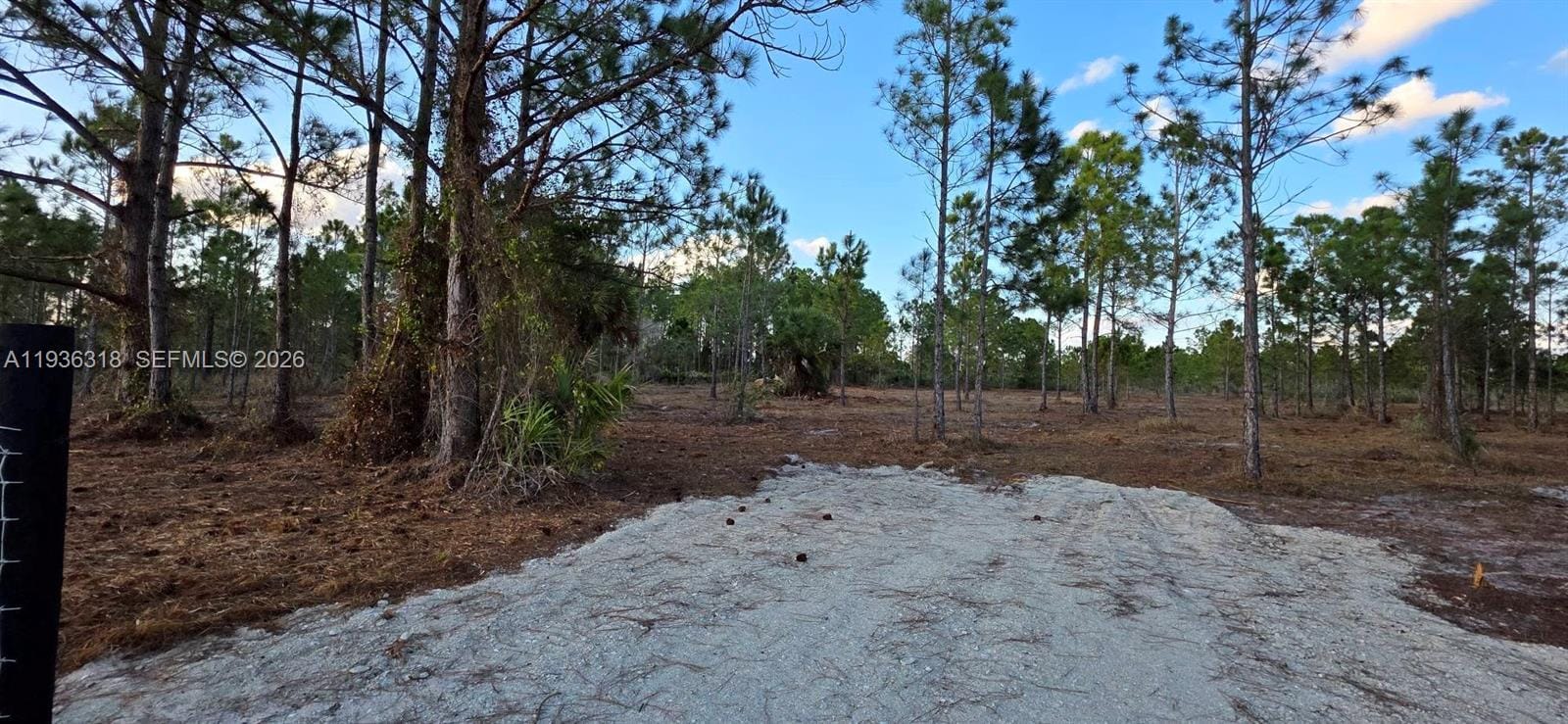 17975 NW 298 Street, Okeechobee, FL 34972 photo 19