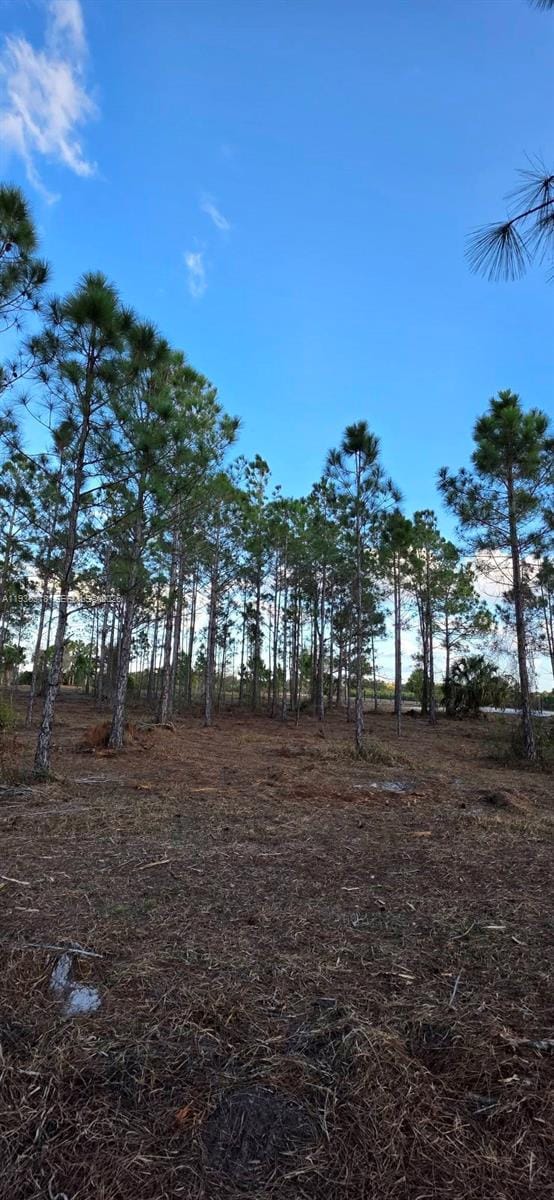 17975 NW 298 Street, Okeechobee, FL 34972 photo 20