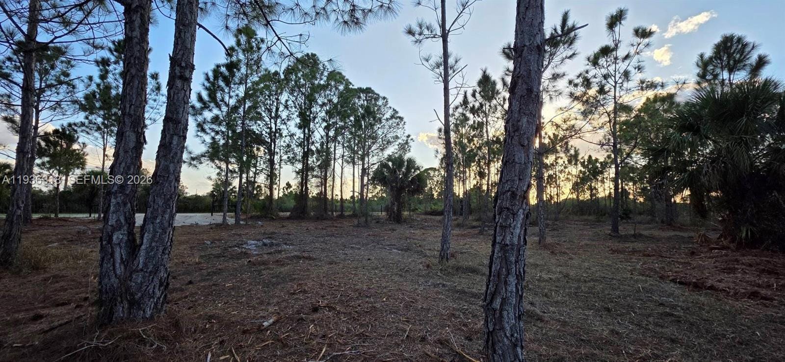 17975 NW 298 Street, Okeechobee, FL 34972 photo 21