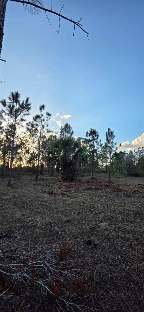 17975 NW 298 Street, Okeechobee, FL 34972 photo 22