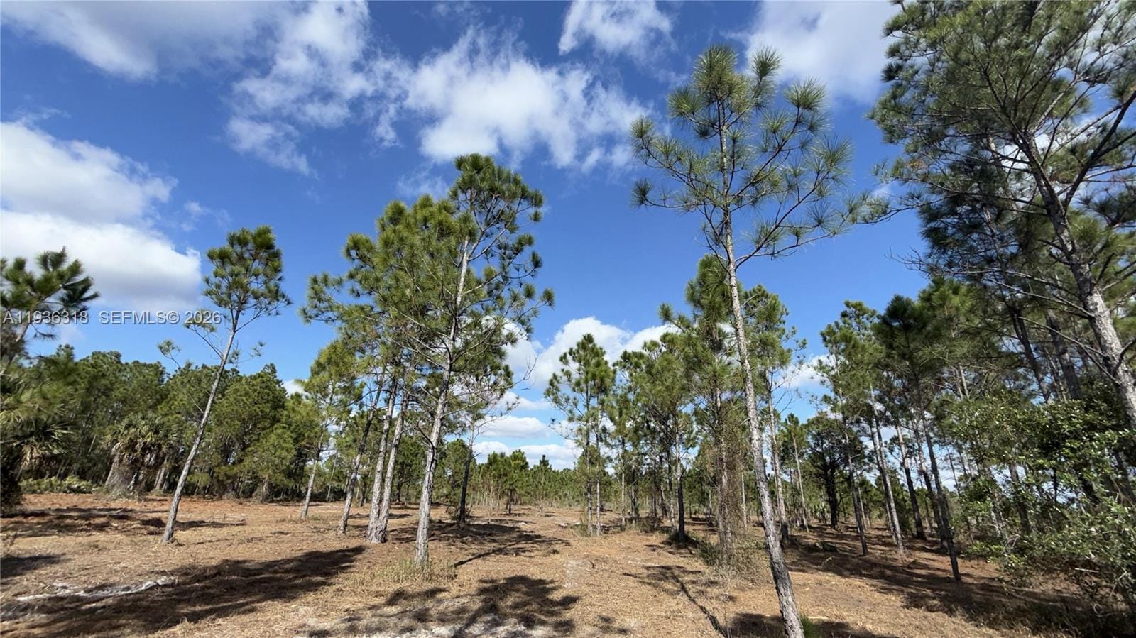 17975 NW 298 Street, Okeechobee, FL 34972 photo 23