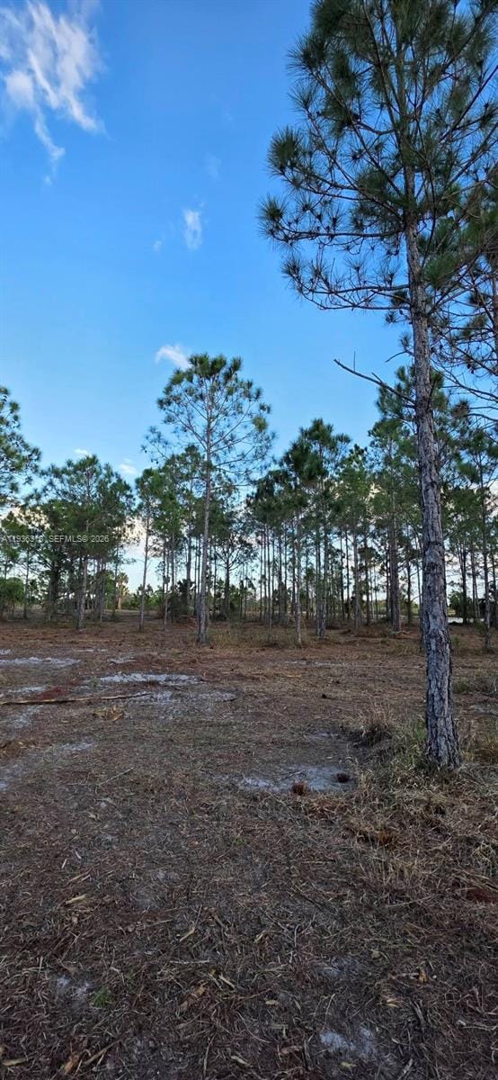 17975 NW 298 Street, Okeechobee, FL 34972 photo 7