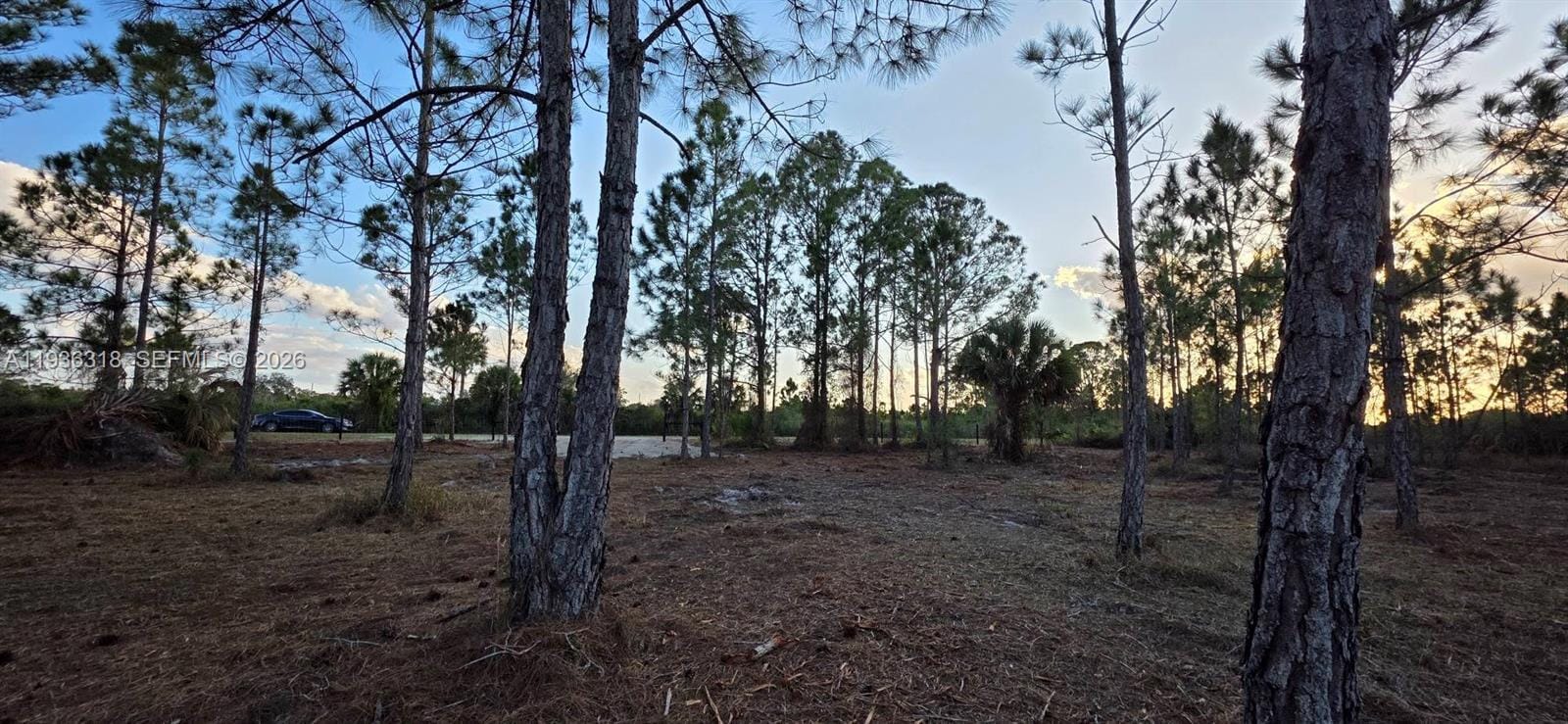 17975 NW 298 Street, Okeechobee, FL 34972 photo 8