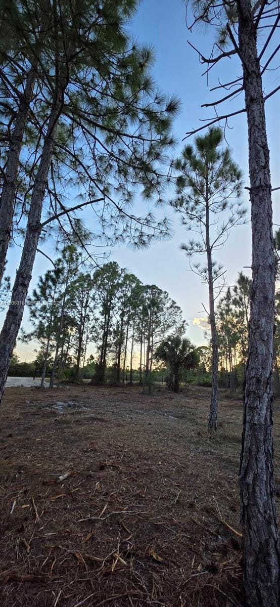 17975 NW 298 Street, Okeechobee, FL 34972 photo 10