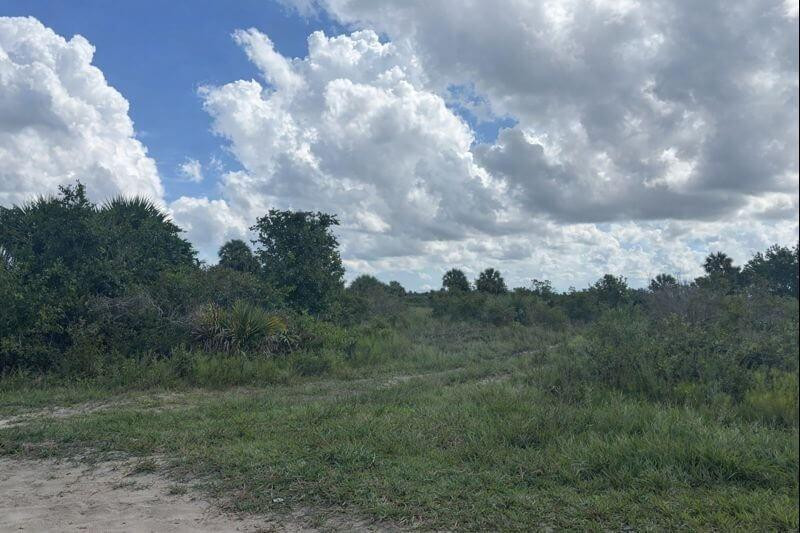 0 NW 304th Street, Okeechobee, FL 34972, Okeechobee