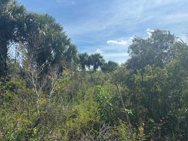 0 NW 310th Street, Okeechobee, FL 34972, Okeechobee