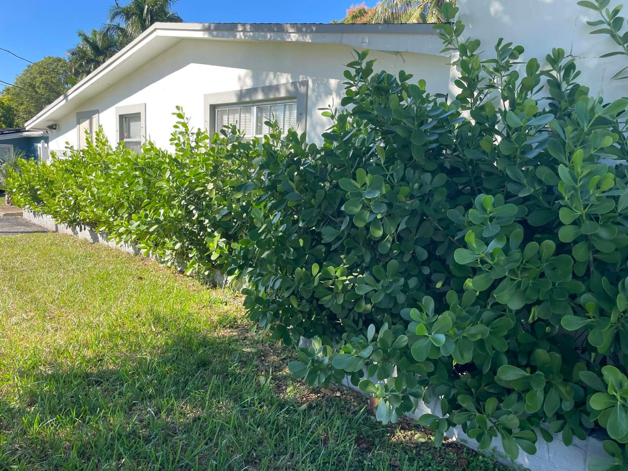 4421 NW 34th Court, Lauderdale Lakes, FL 33319, Lauderdale Lakes