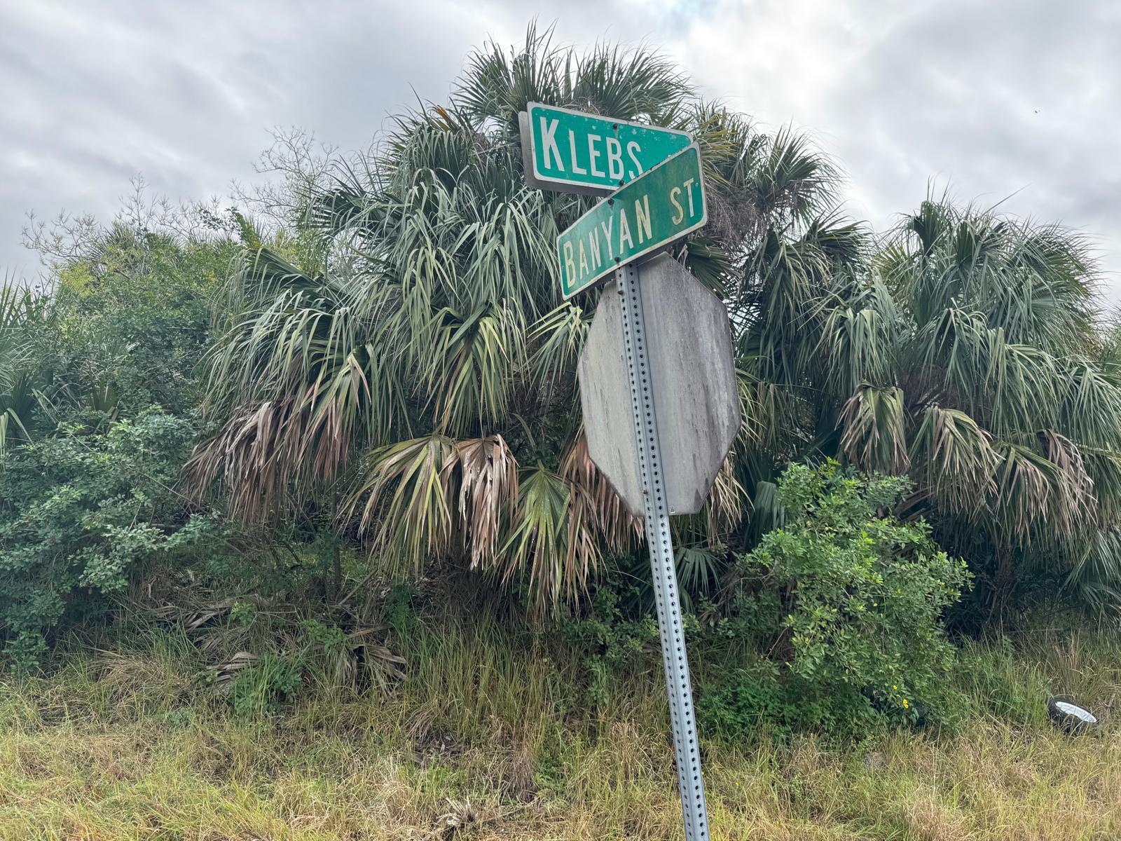 0000 Klebs Avenue SW, Palm Bay, FL 32908, Palm Bay