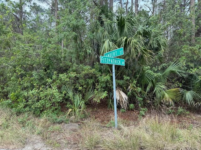 3395 Fitzpatrick Avenue SW, Palm Bay, FL 32908
