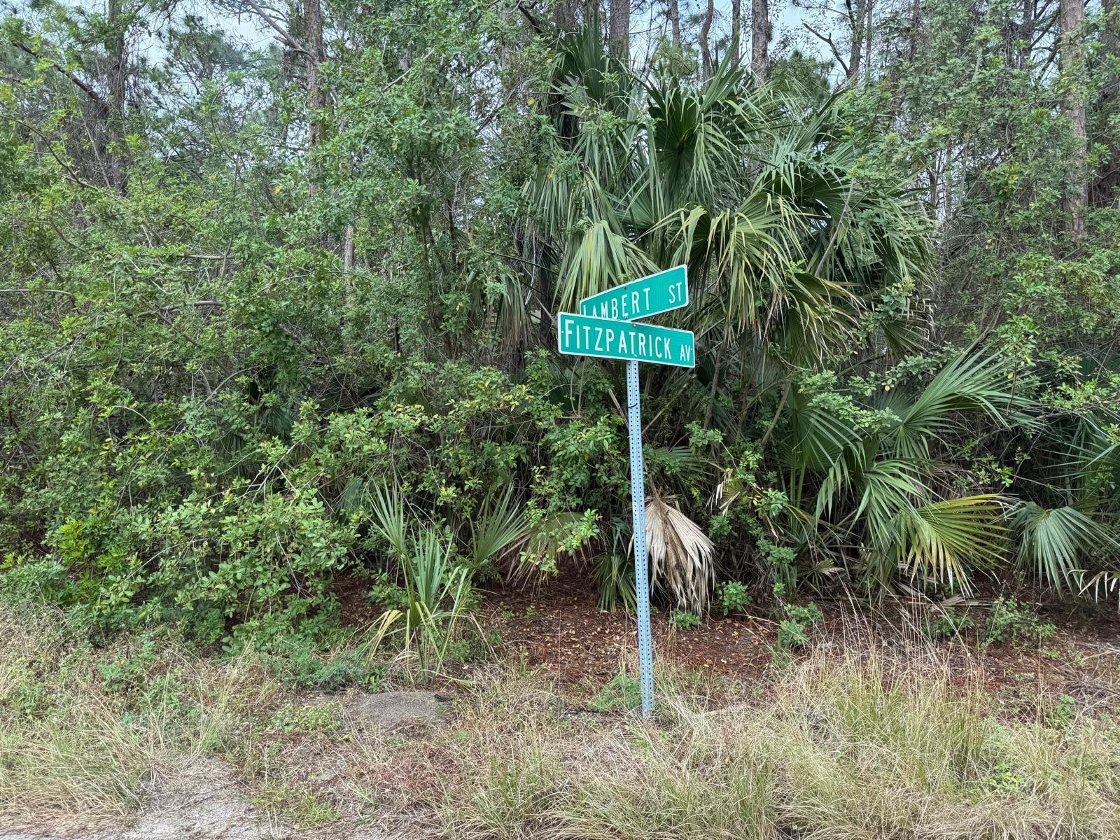 3395 Fitzpatrick Avenue SW, Palm Bay, FL 32908, Palm Bay