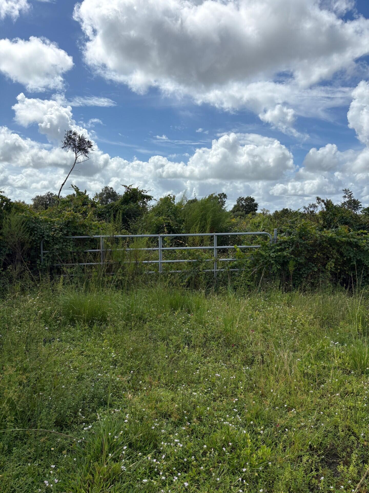 16426 NW 262nd Street, Okeechobee, FL 34972, Okeechobee