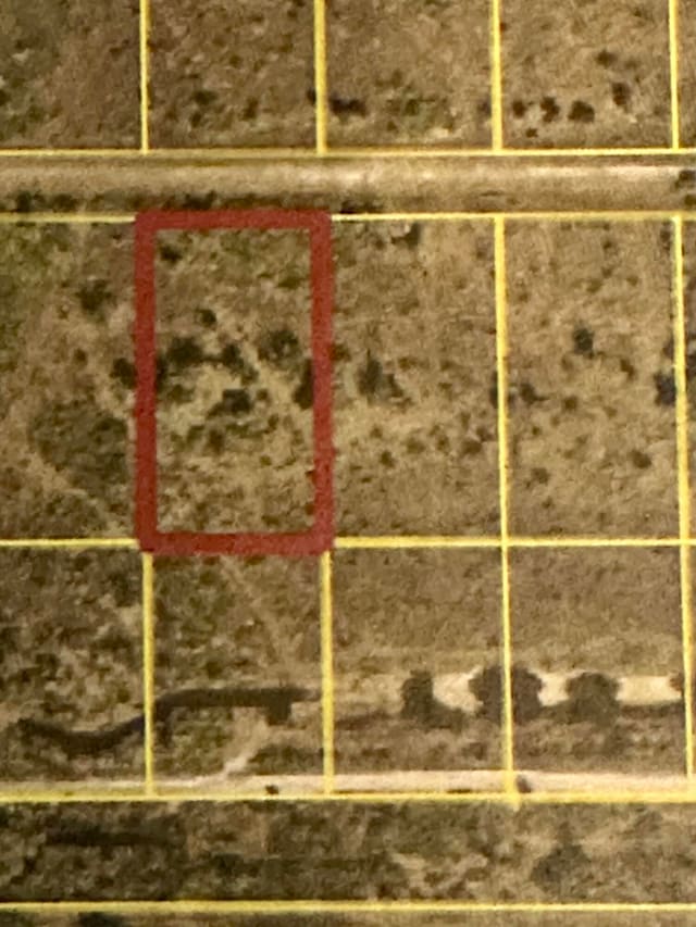 22076 NW 242nd Street, Okeechobee, FL 34972