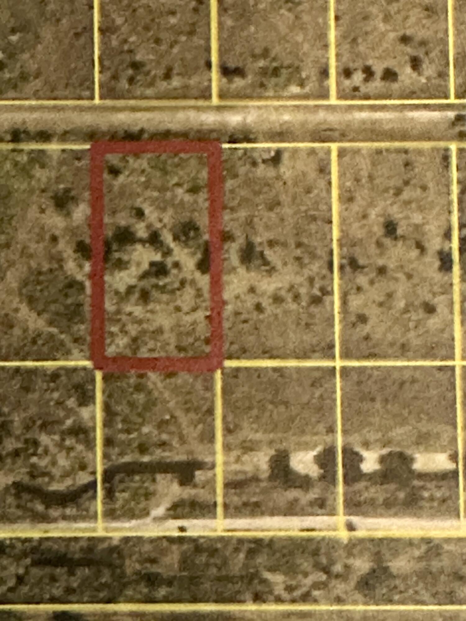 22076 NW 242nd Street, Okeechobee, FL 34972, Okeechobee