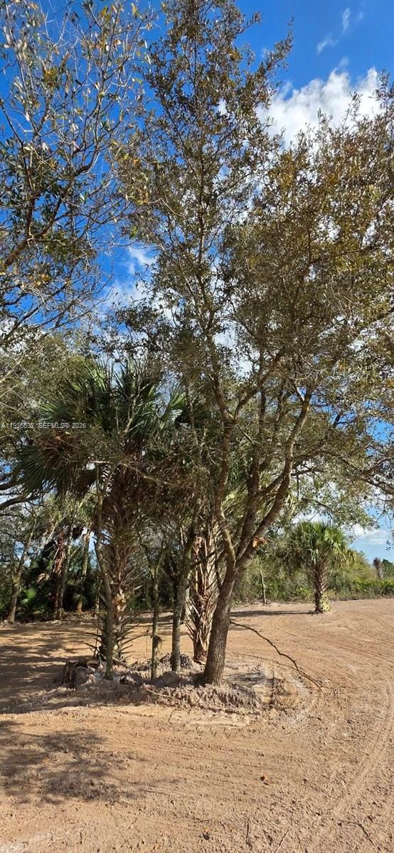 19946 NW 254 Street, Okeechobee, FL 34972 photo 11