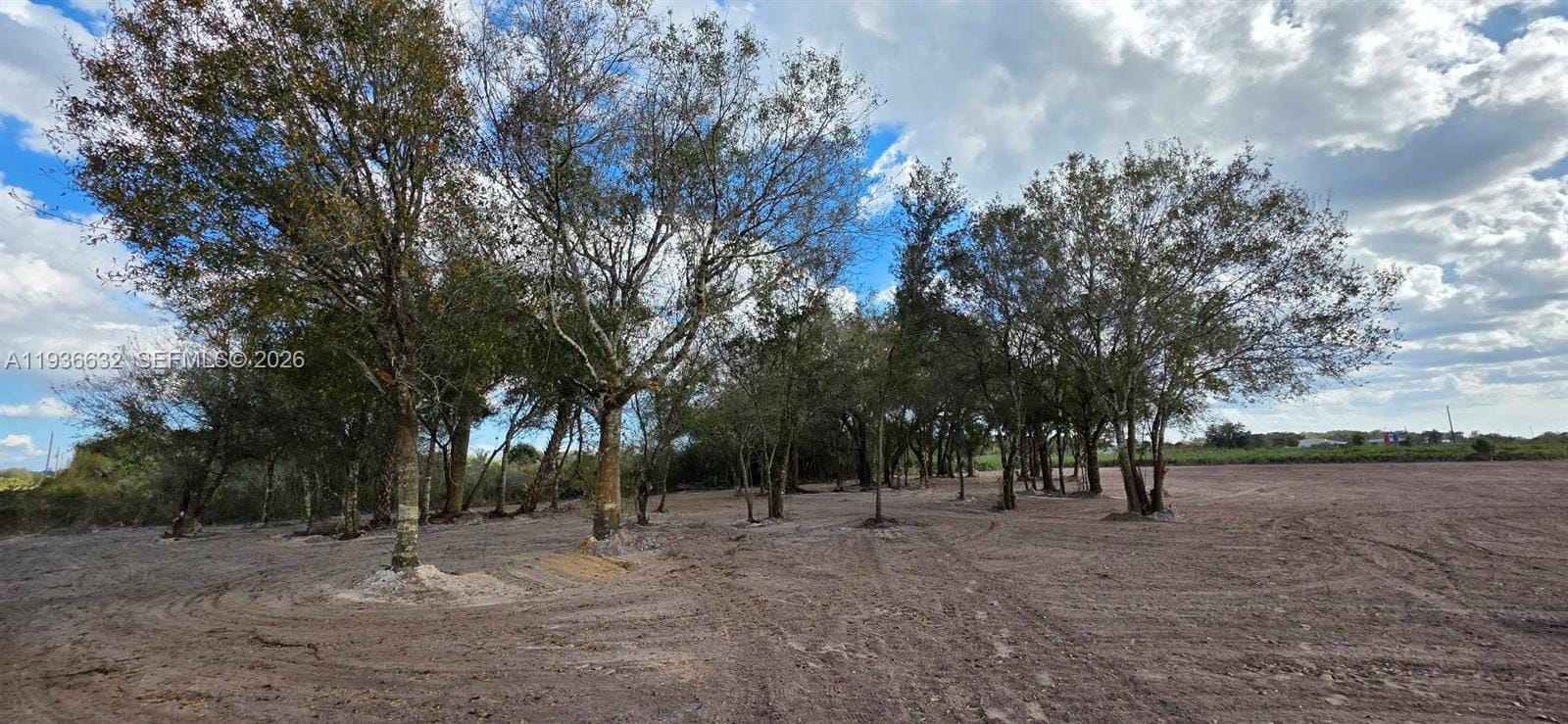 19946 NW 254 Street, Okeechobee, FL 34972 photo 17