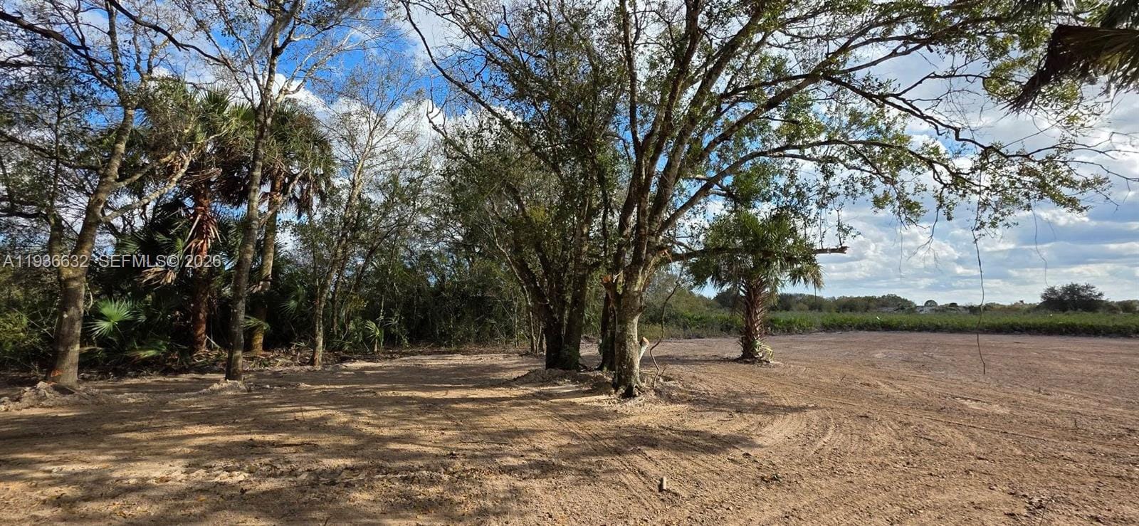 19946 NW 254 Street, Okeechobee, FL 34972 photo 6