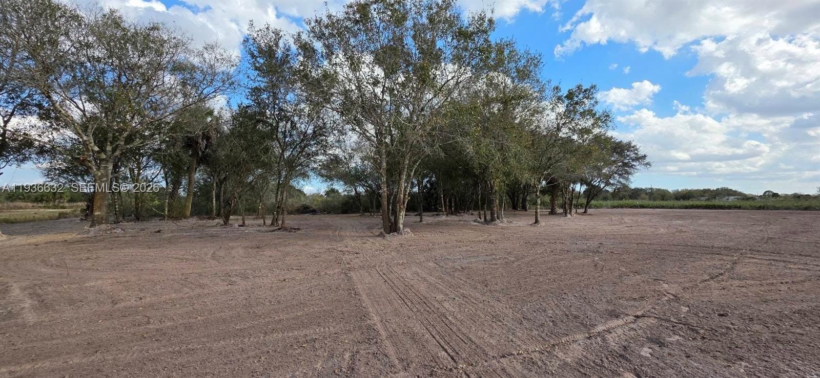 19946 NW 254 Street, Okeechobee, FL 34972 photo 9