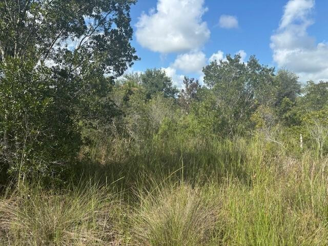 0 NW 316th Street, Okeechobee, FL 34972, Okeechobee