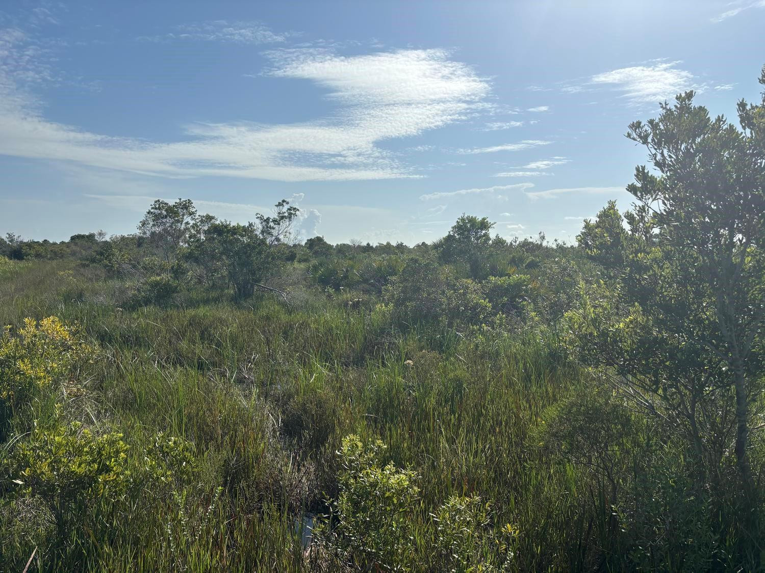 0 NW 318th Street, Okeechobee, FL 34972, Okeechobee