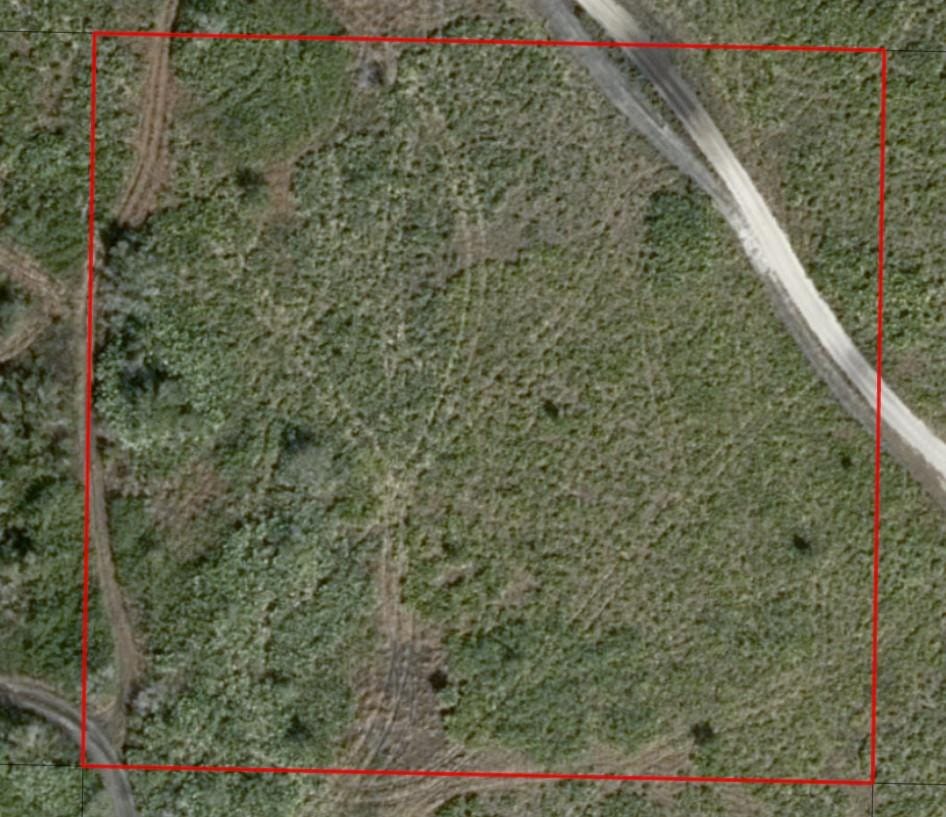 0 313th Street, Okeechobee, FL 34972 photo 4