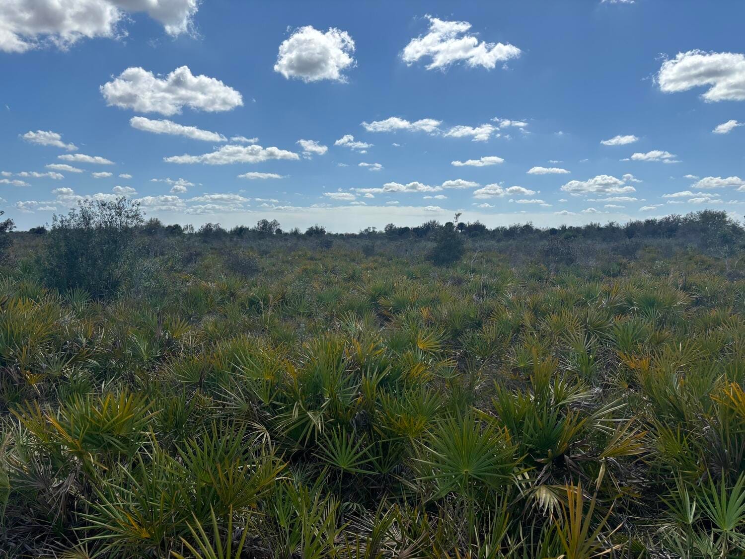 0 313th Street, Okeechobee, FL 34972 photo 6