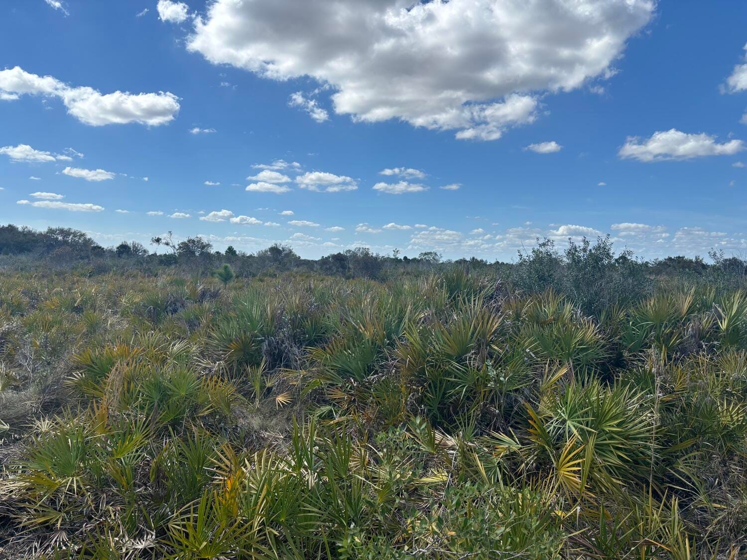 0 313th Street, Okeechobee, FL 34972 photo 7