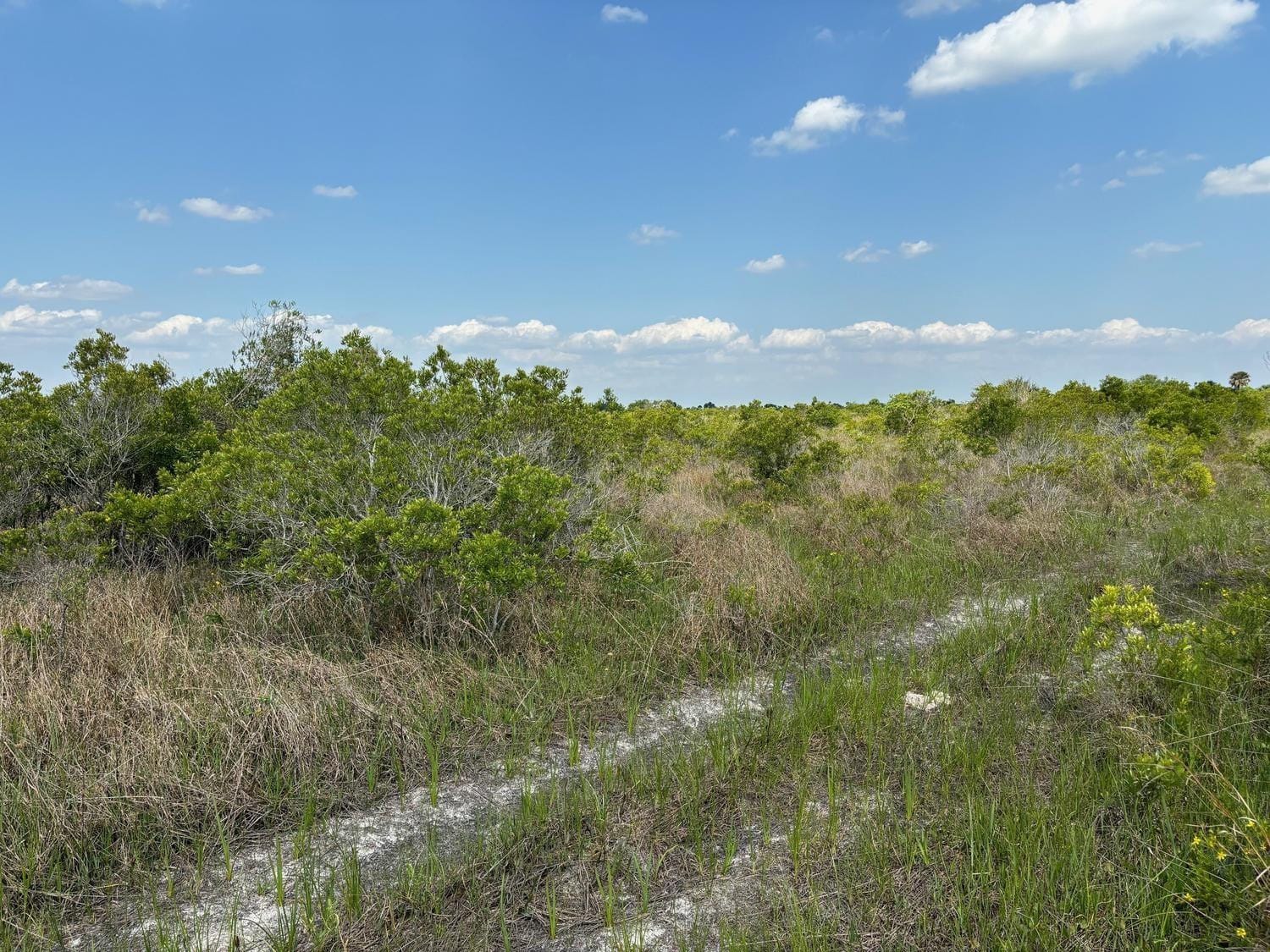 0 NW 318th Street, Okeechobee, FL 34972