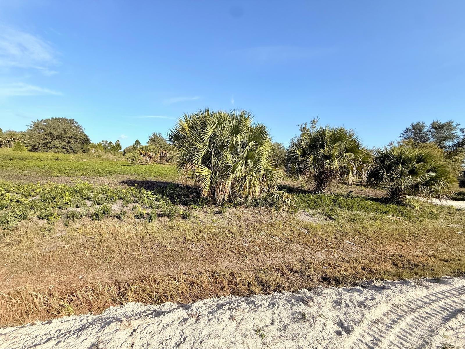 14765 NW 288th Street, Okeechobee, FL 34972 photo 7