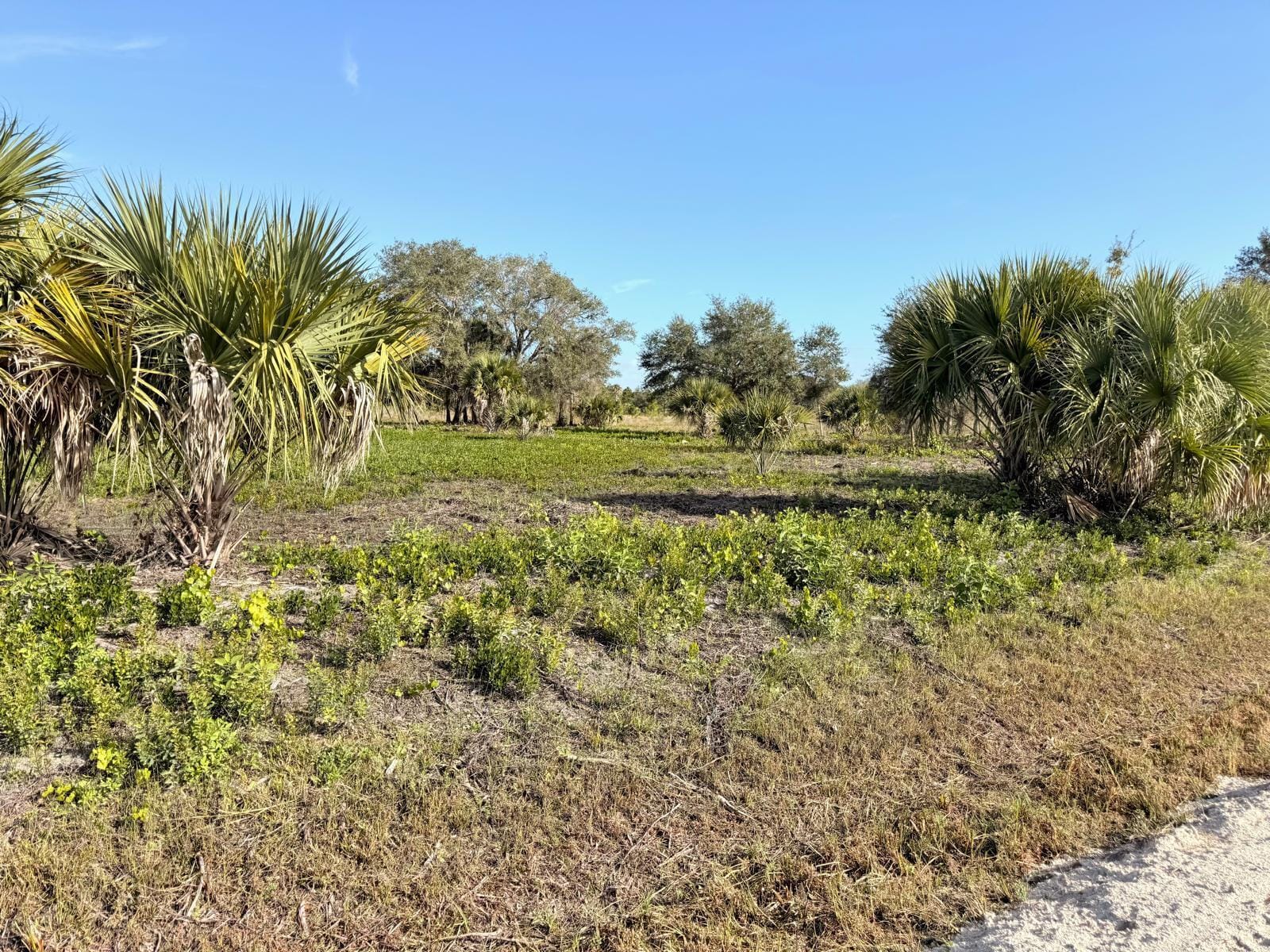 14765 NW 288th Street, Okeechobee, FL 34972 photo 8