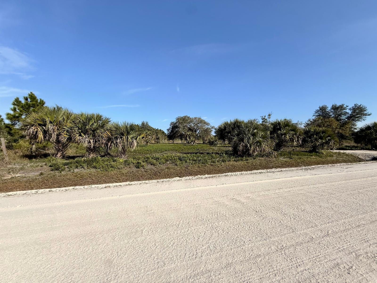 14765 NW 288th Street, Okeechobee, FL 34972 photo 9