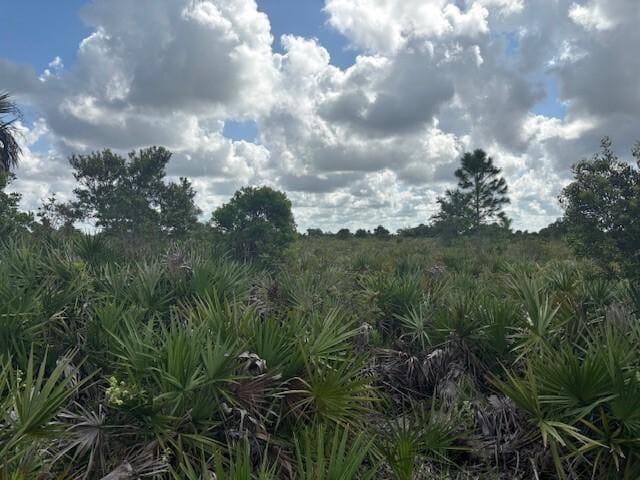 0 NW 316th Street, Okeechobee, FL 34972 photo 2