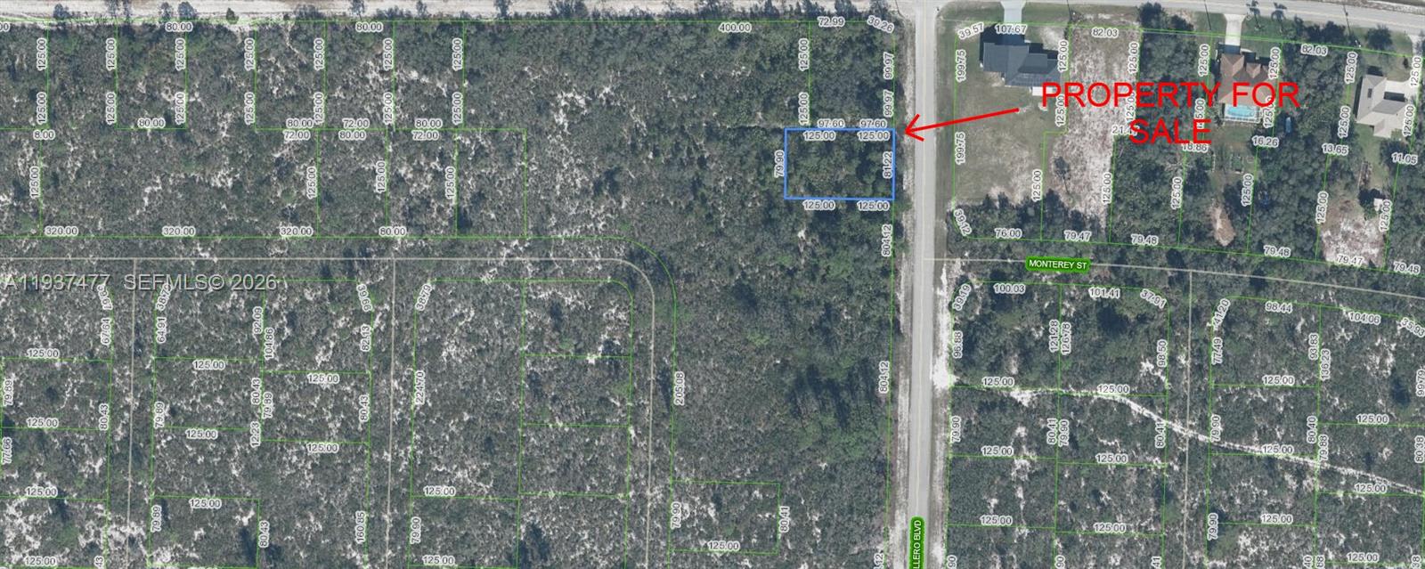 6683 Caballero Boulevard, Sebring, FL 33872, Sebring