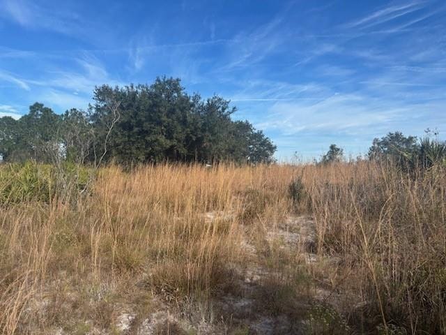 20787 NW 244th Street, Okeechobee, FL 34972 photo 6