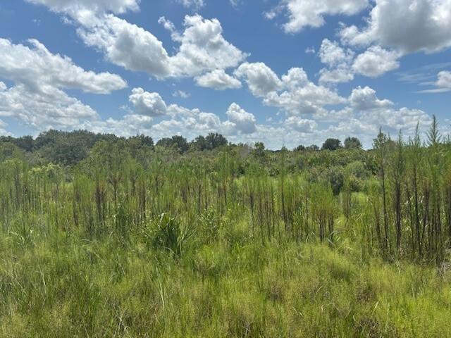 0 NW 314th Street, Okeechobee, FL 34972, Okeechobee