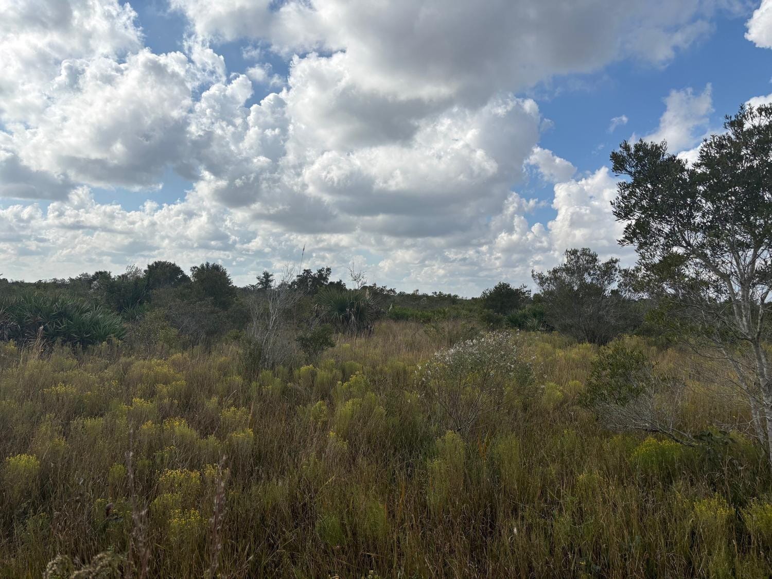 0 NW 314th Street, Okeechobee, FL 34972