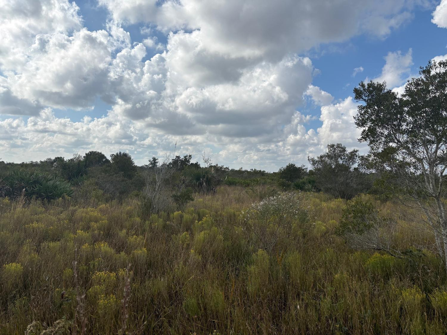 0 NW 314th Street, Okeechobee, FL 34972, Okeechobee