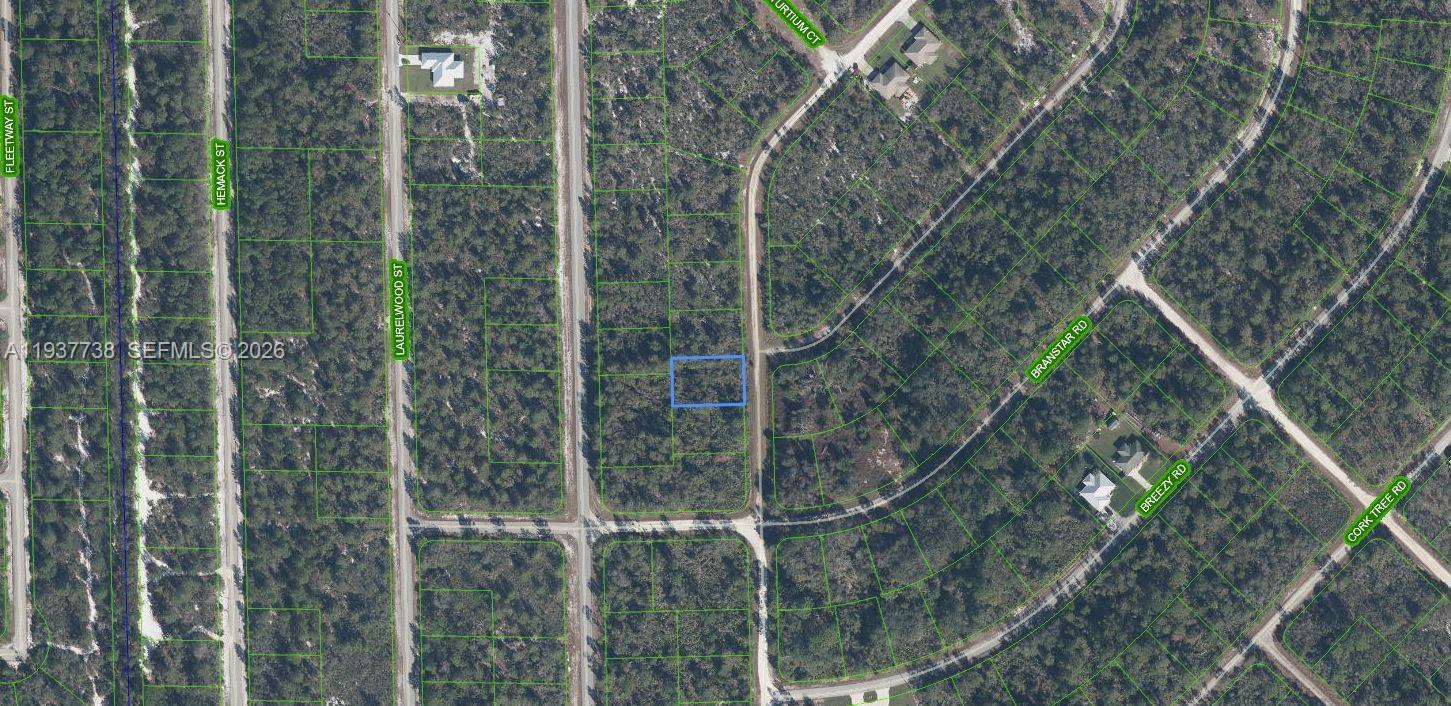 3292 Gossamer Avenue, Lake Placid, FL 33852, Lake Placid