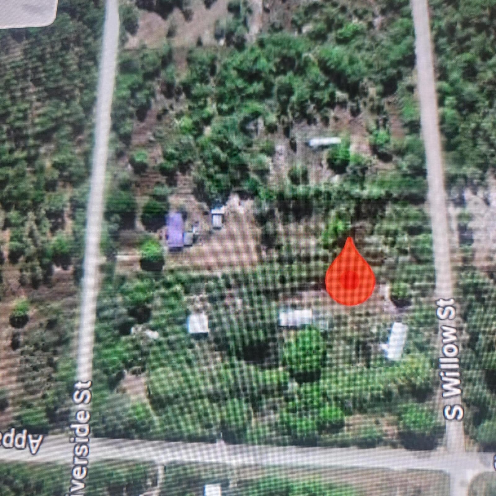 725 S Willow Street — photo 3