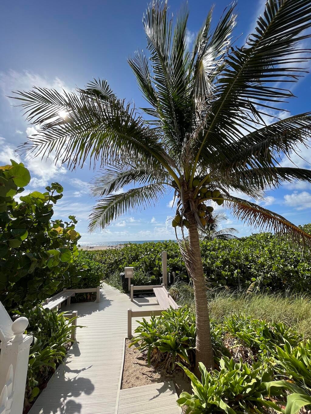 2800 N Ocean Drive B-23c, Singer Island, FL 33404 photo 27